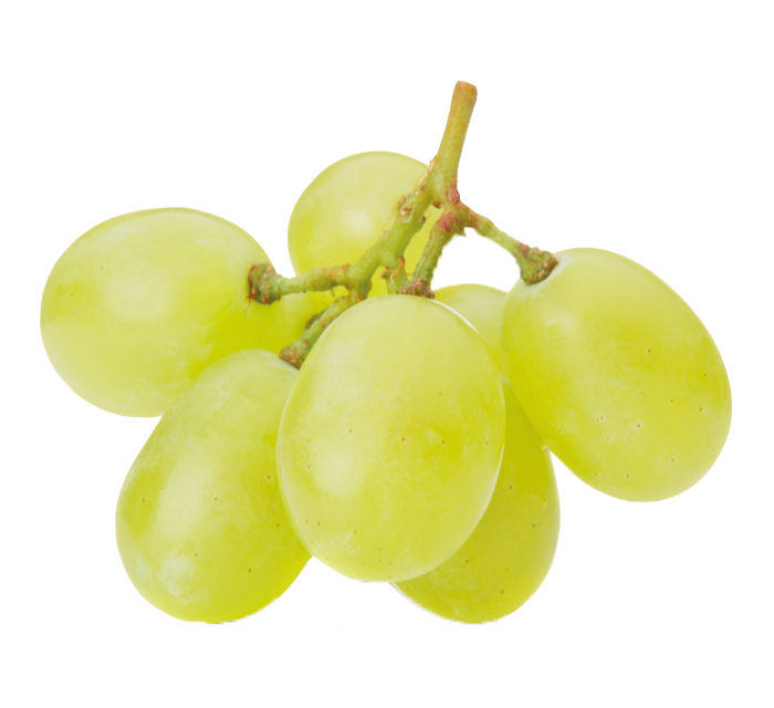 Gefermenteerde druiven